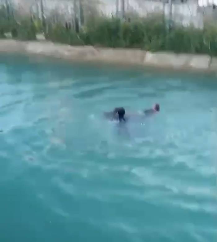 Sulama Kanalına Düşen Kadını Vatandaşlar Kurtardı