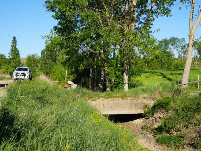 Sulama Kanalında Başı Kesilmiş Ceset Bulundu, 3 Kişi Gözaltına Alındı