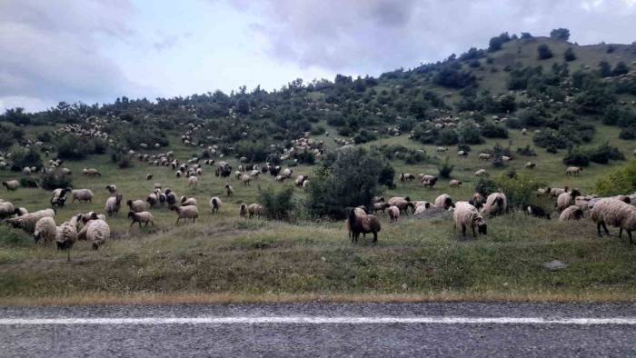 Besiciler Yayla Yolculuklarında Kulp İlçesine Vardı