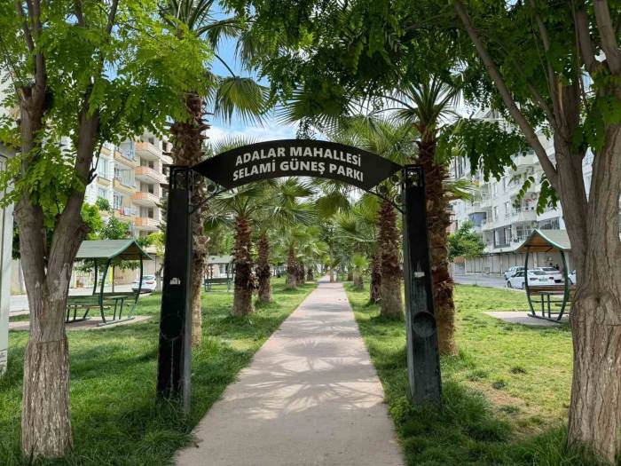 Parktaki Ahşap Masayı Ateşe Verdiler