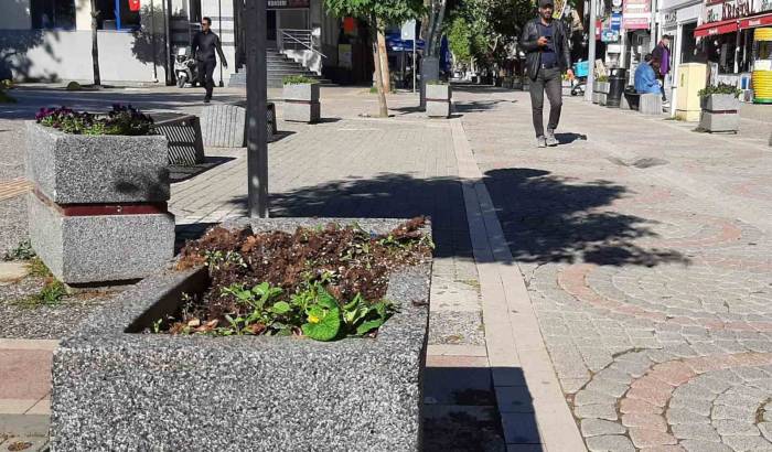 Yalova’da Vandallar İş Başında
