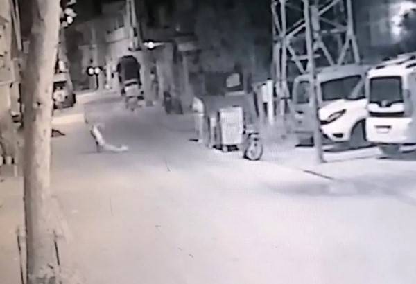 Bayıltana Kadar Dövdü, Sürükleyip Yol Kenarına Bıraktı