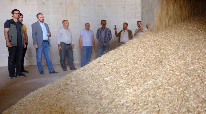 Mardin’de 2024 Sezonunun İlk Arpa Hasadı Yapıldı