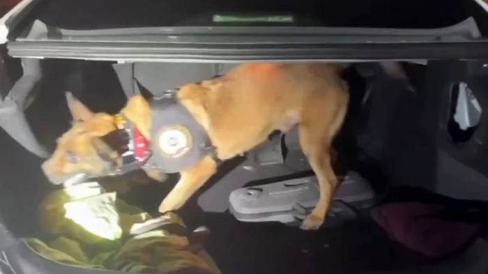 Athena’nın Didik Didik Aradığı Araçtan Uyuşturucu Çıktı