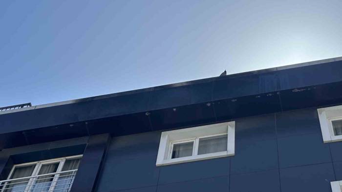 Şişli’de Hareketli Anlar Kamerada: Daireyi Boşaltmayan Adam Binayı Ateşe Verdi