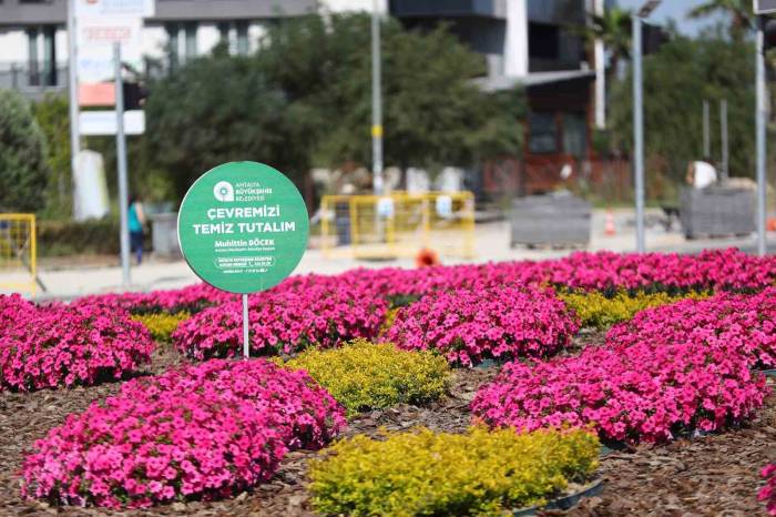 Antalya’da 2 Milyon Yazlık Çiçek Toprakla Buluşuyor