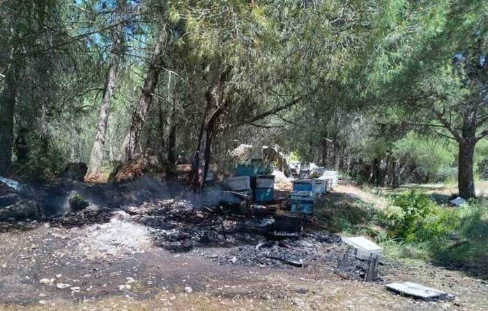 Arı Kovanları Yandı