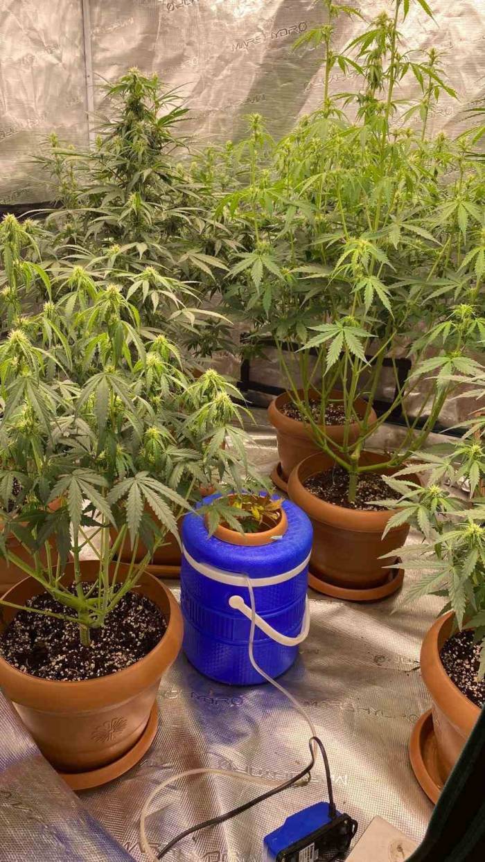 Evini Uyuşturucu İmalathanesine Çeviren Şüpheli Yakalandı