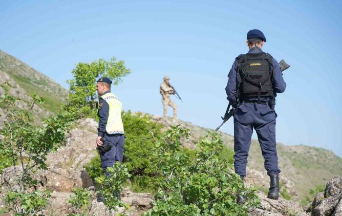 Jandarma Ekipleri Terörü Bitirdikleri Dağlarda Şimdilerde Ters Lale Nöbeti Tutuyor