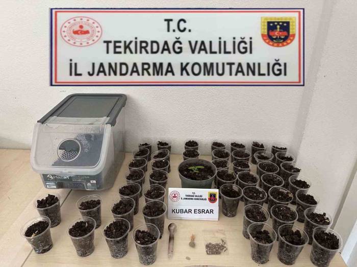 Tekirdağ’da Uyuşturucu, Silah Ve Tütün Operasyonu