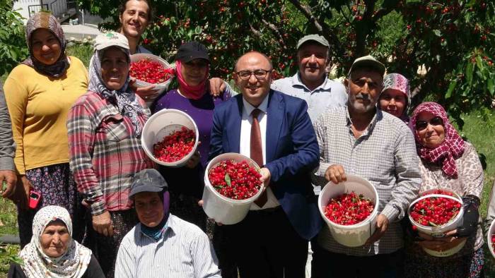 Mersin’de Turfanda Kiraz Hasadı Başladı