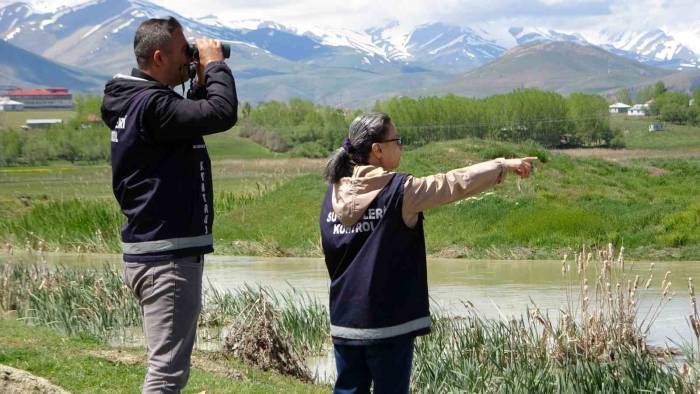 İnci Kefali Yoğun Denetimlerle Korunuyor