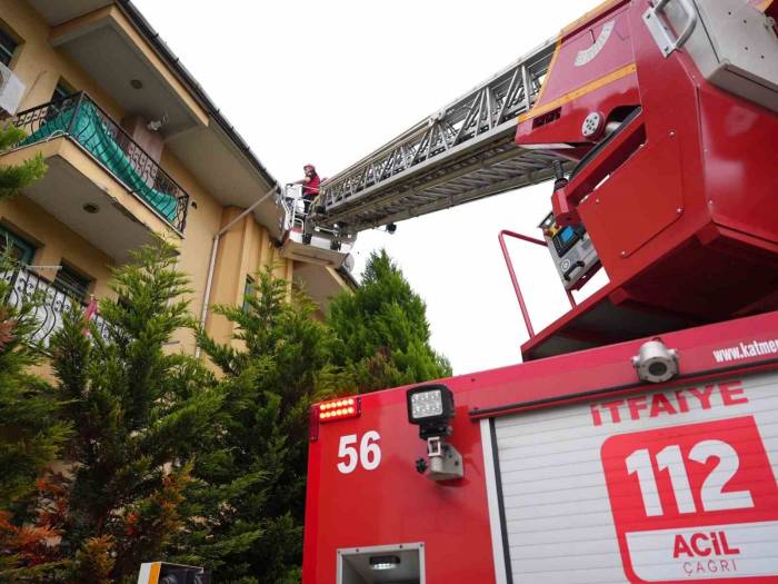 İtfaiyeciler Çatılarda Kuş Yuvası Aradı