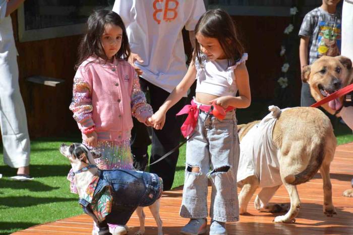 Engelli Hayvanların Defilesinden Renkli Sahneler