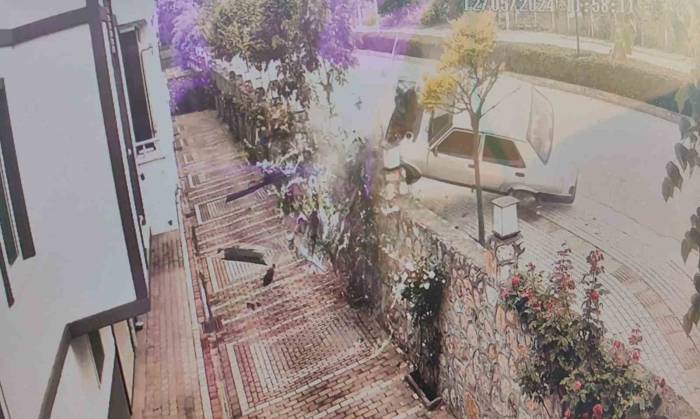 Sürücünün Kontrolünden Çıkan Otomobil Ağaca Çarpıp Devrildi