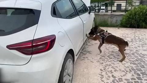 Aracın Marşpiyeline Zulalanmış Uyuşturucu Ele Geçirildi: 4 Tutuklama