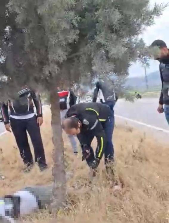 Kahramanmaraş’ta Motosiklet Refüjdeki Ağaca Çarptı: 1 Ölü
