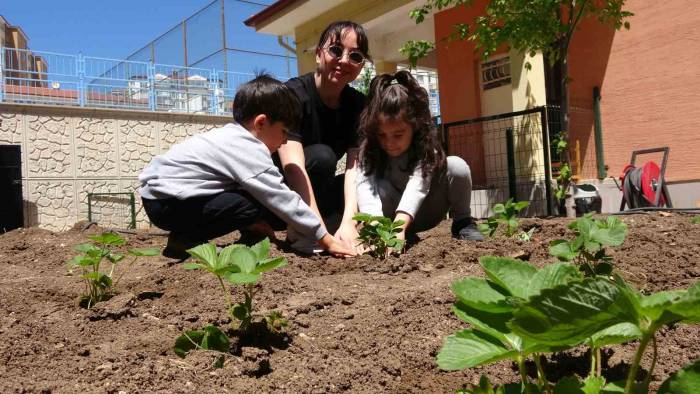 Okul Bahçesine Öğrencileri İçin Tarım Alanı Oluşturdu