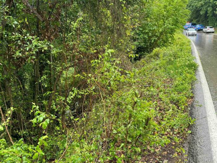 Virajı Alamayan Otomobil Ormanlık Alana Uçtu: 3 Yaralı