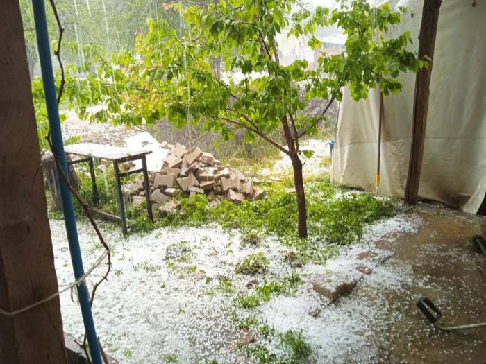 Dolu Yağışı Kayısıya Zarar Verdi