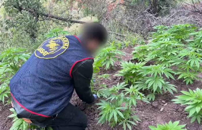 Akhisar’da Uyuşturucu Operasyonu