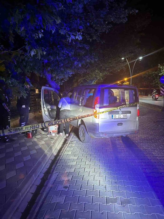 Ağaca Çarpan Ticari Araç Sürücüsü Hayatını Kaybetti