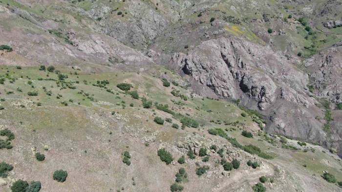 Elazığ’daki Kan Donduran Cinayetin Dehşet Veren Detayları Ortaya Çıktı