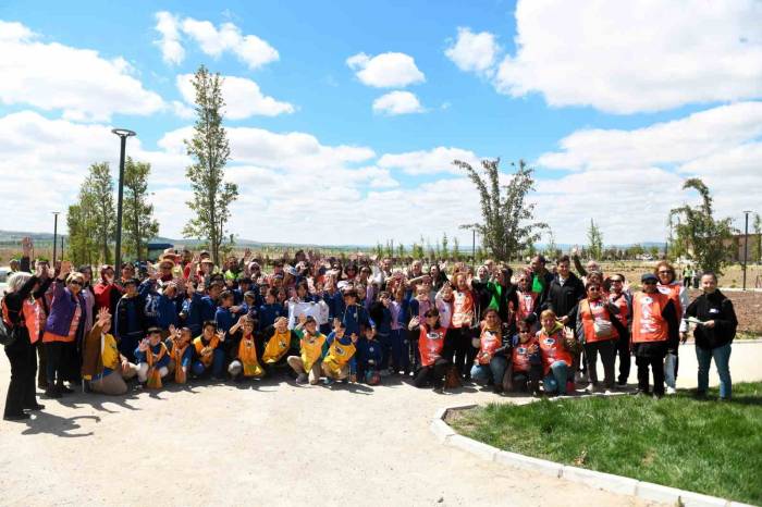 Çocukların Yetiştirdiği Meşe Fideleri Doğayla Buluştu