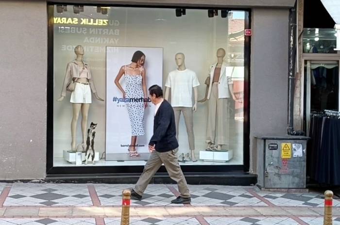 Mağazada Mahsur Kalan Kedi Camı Tırmalayarak Yardım İstedi