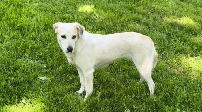 Bursa’da Sanat Ve Medya Camiasının Acı Kaybı