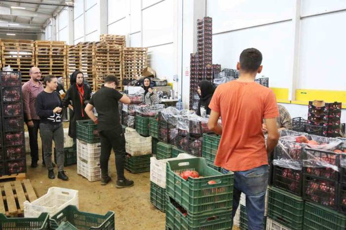 Ege Bölgesinin Tarımı İçin Önem Taşıyan Deppo Efes Sezona Hazırlanıyor