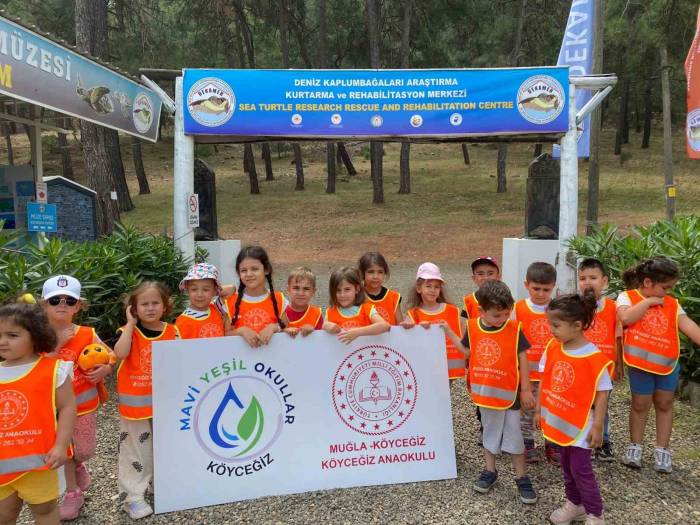 Köyceğizli Miniklere Deniz Kaplumbağaları Tanıtıldı