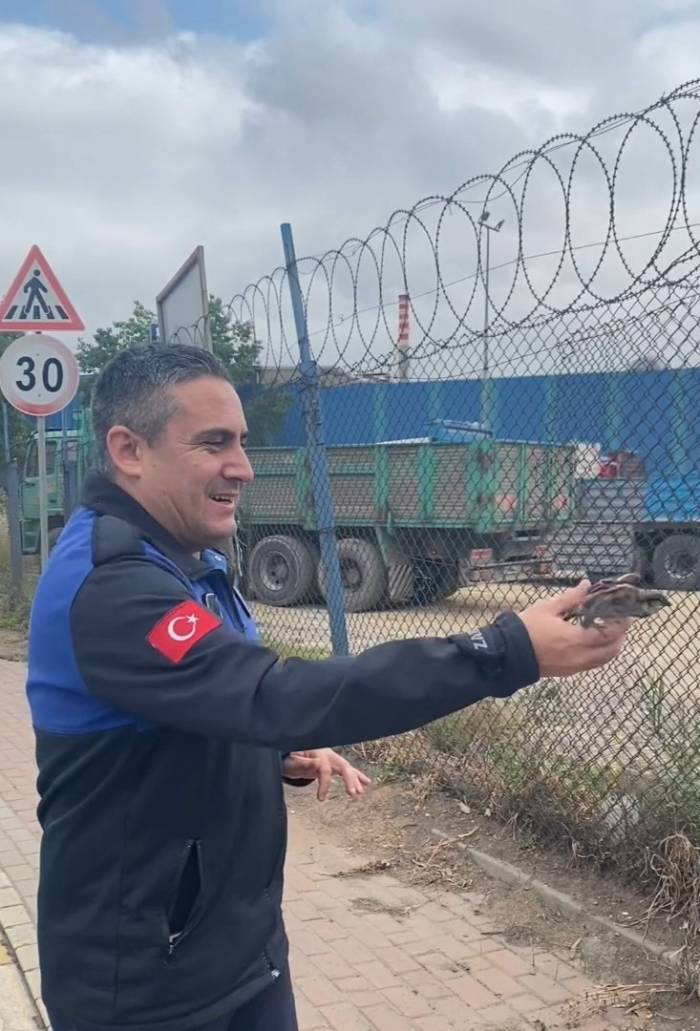 Uçamayan Serçenin İmdadına Yetiştiler