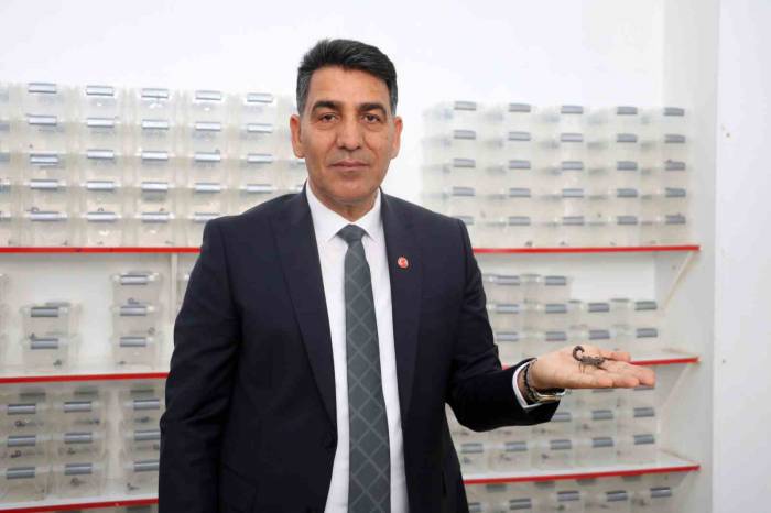 40 Yıllık Akrep Üreticisinden Abd’li Profesöre Tepki