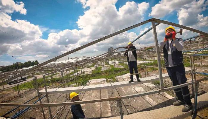Sultanbeyli’de Kurban Hazırlıkları Tüm Hızıyla Sürüyor: Yüzde 60’ı Tamamlandı
