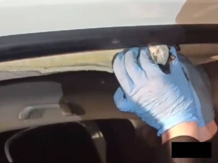 Narkotik Köpeği "Ceku" Buldu, 3 Şahıs Tutuklandı