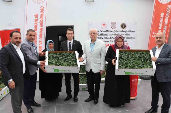 Akıncılar’da Salçalık Domates Ve Biber Fidesi Dağıtıldı