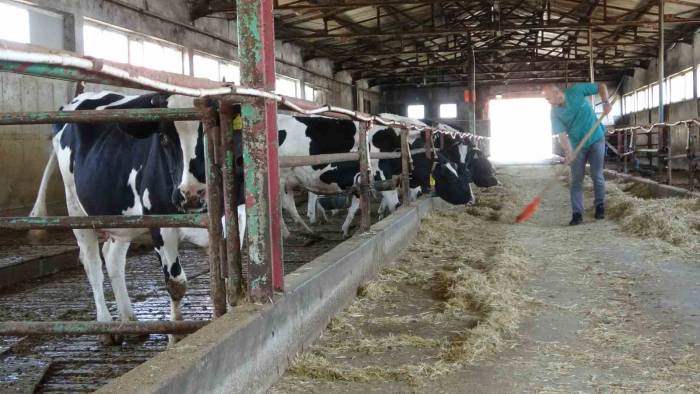 Veteriner Adayları Üniversitenin Çiftliğinde Eğitim Görüyor