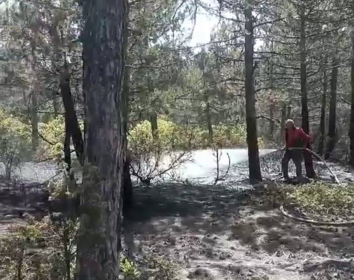 Kütahya’da Orman Yangını Büyümeden Söndürüldü