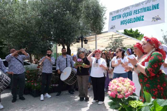 Zeytin Çiçeği Festivali, Renkli Görüntülerle Başladı