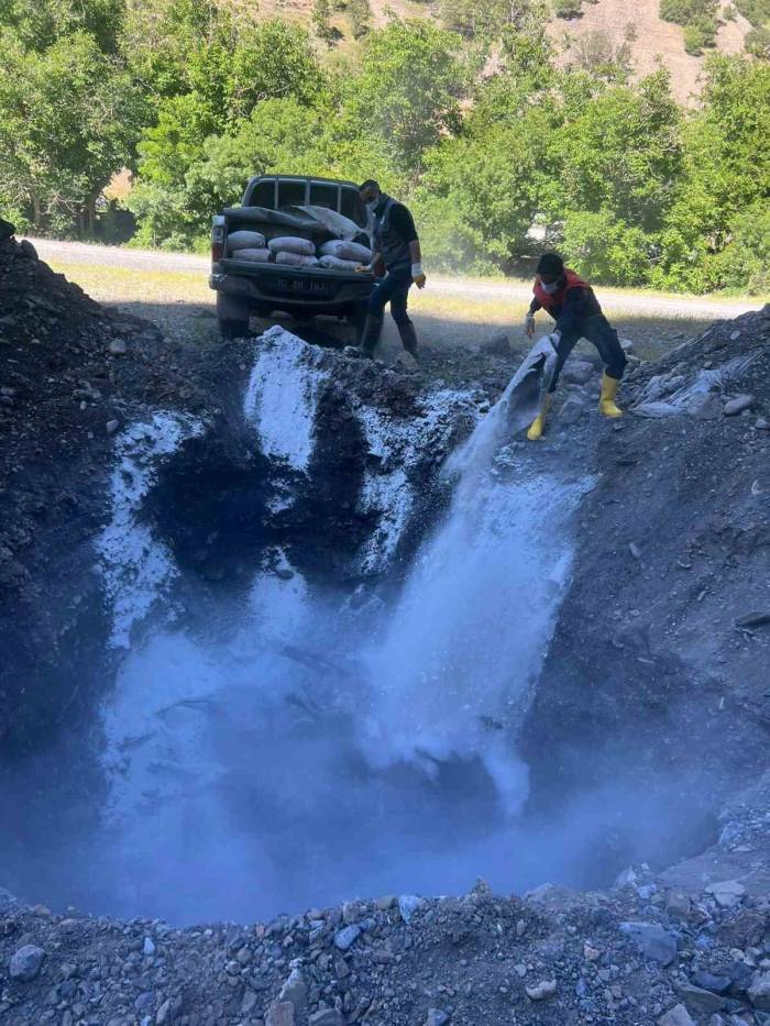 Kazada Telef Olan Hayvanlar Gömüldü