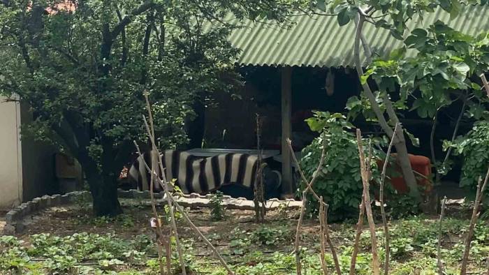 Tokat’ta Patlamada Yaralananların Hayati Tehlikeleri Bulunmuyor