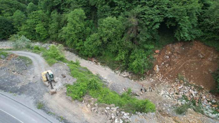 Dere Islahı Çalışmasında Bin 183 Yaşındaki Porsuk Ağacını Kökünden Kestiler