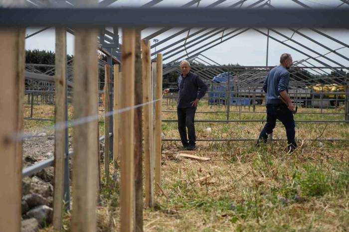 İstanbul’da Kurban Bayramı Hazırlığı Başladı