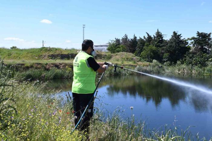 Balıkesir Büyükşehir, Haşereyle Mücadeleyi Sürdürüyor