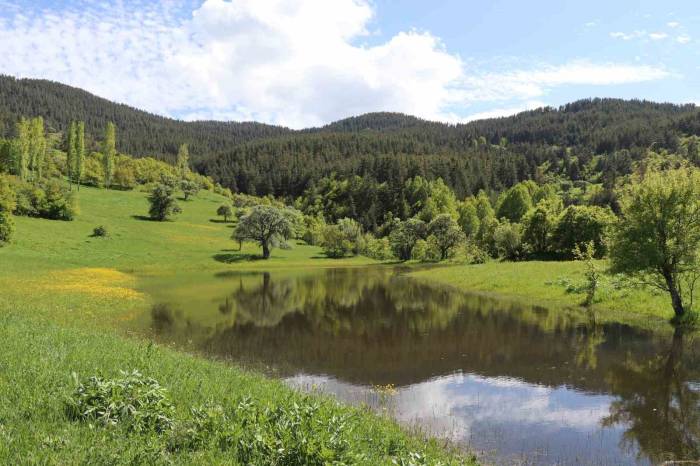 Erzurum’un Yaylalarında Bahar Esintisi