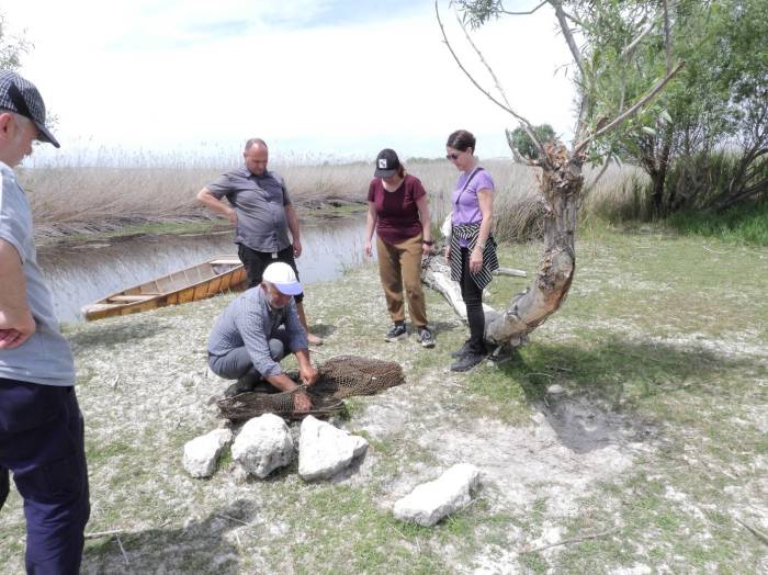 Afrika Yayın Balığı Popülasyonunun Azaltılması İçin Çalışma Başlatıldı