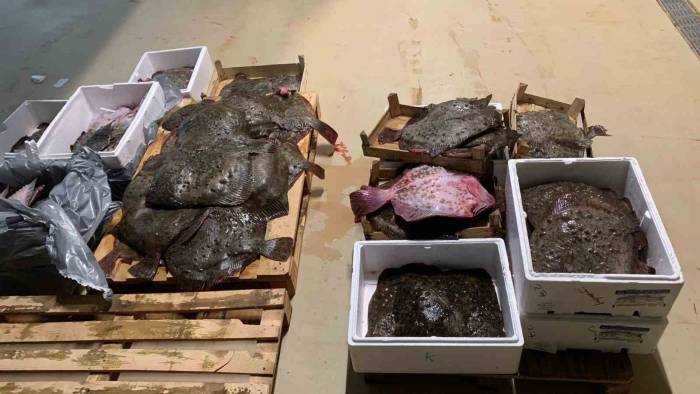 Gürpınar Su Ürünleri Hali’nde Kalkan Operasyonu