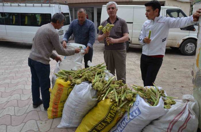 Işgın Tezgahlardaki Yerini Aldı