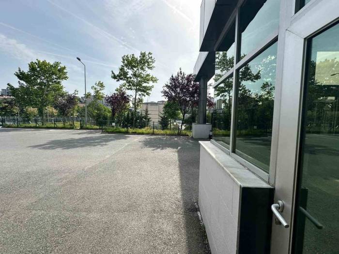 Başakşehir’de İlkokul Bahçesinde Beslenen Köpekler 11 Yaşındaki Öğrenciye Saldırdı